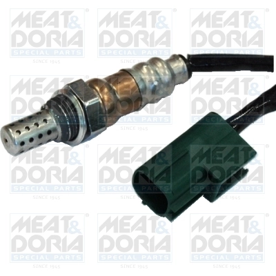 Oxygen Sensor